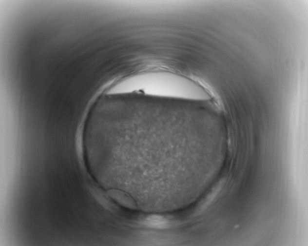 X0000099580390200805231555