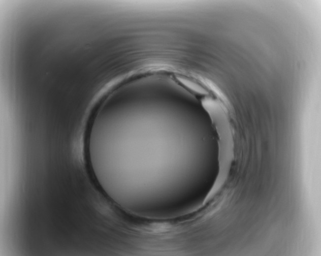 X0000099580391200805231555