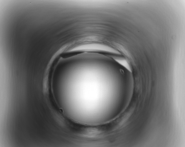 X0000099580392200805231555