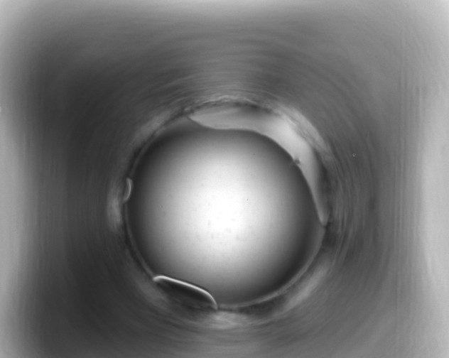 X0000099580393200805231555