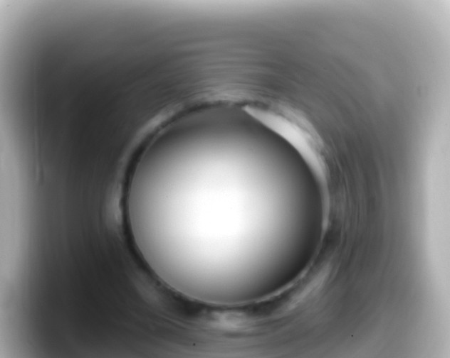 X0000099580395200805231555