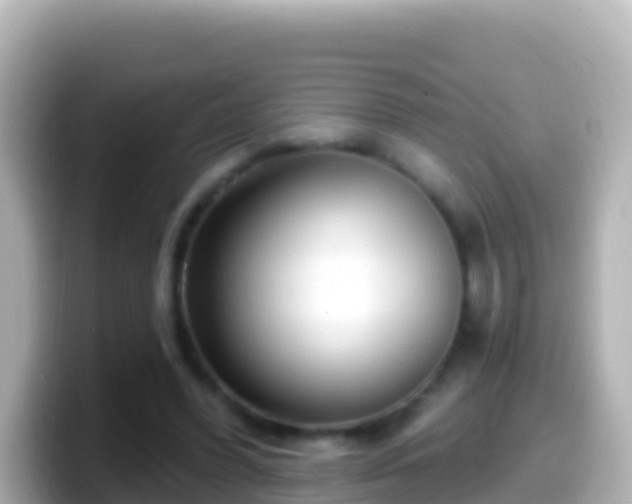 X0000099580396200805231555