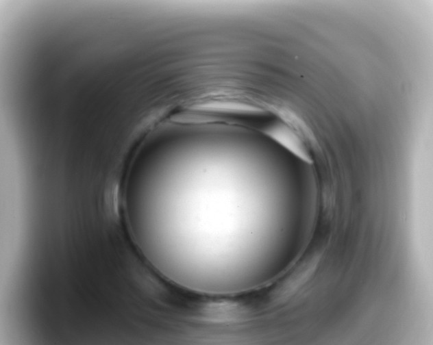 X0000099580397200805231555