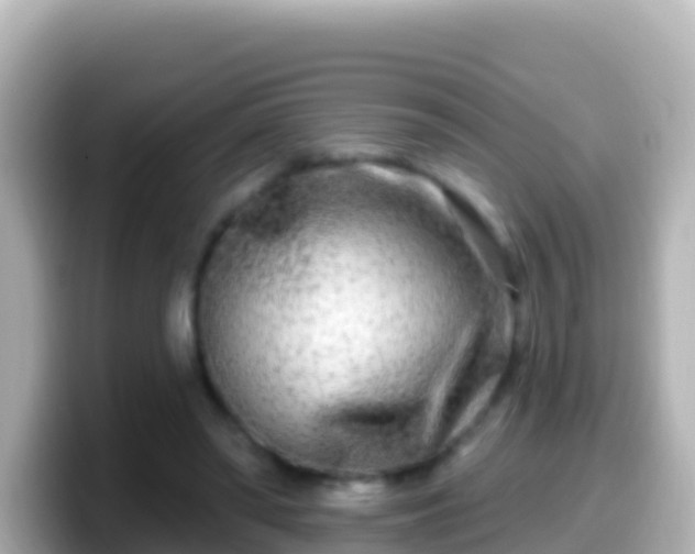X0000099580398200805231555