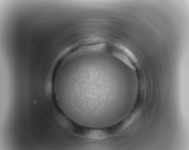 X0000099580399200805231555
