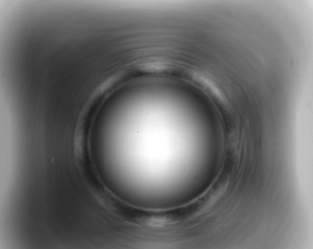 X0000099580400200805231555