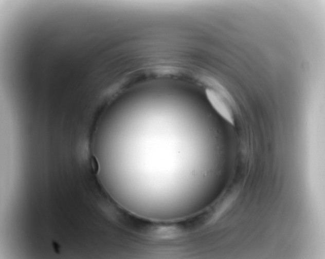 X0000099580401200805231555