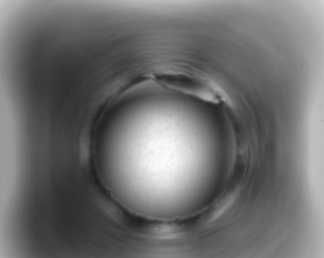 X0000099580402200805231555
