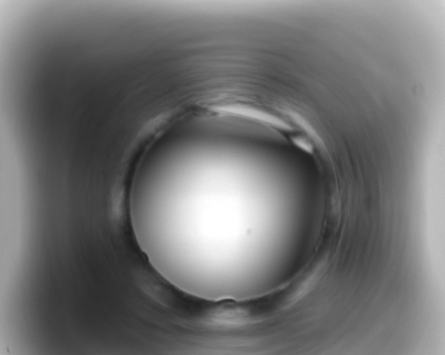 X0000099580403200805231555