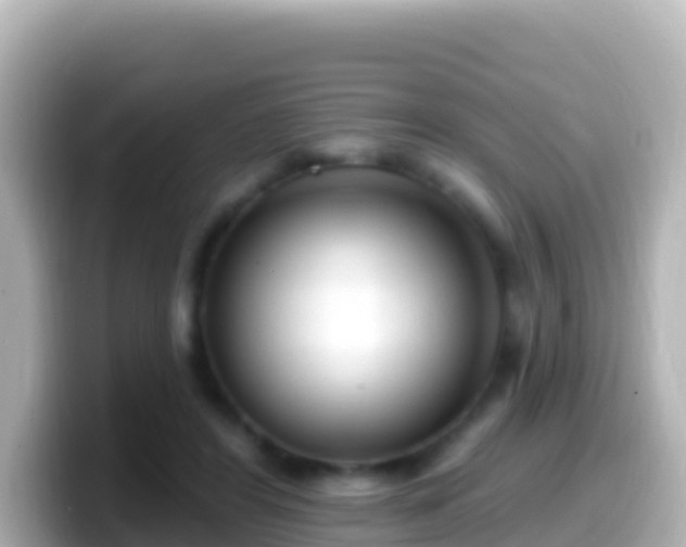 X0000099580404200805231555