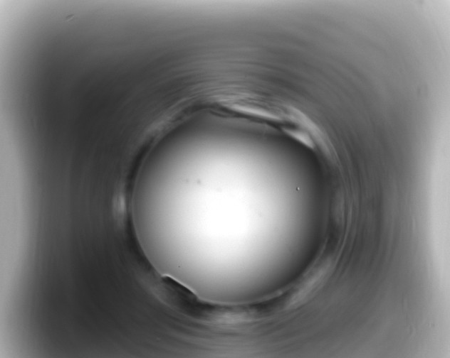 X0000099580405200805231555