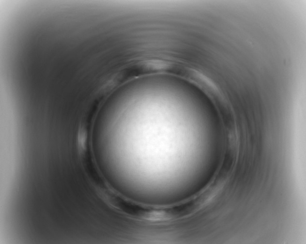 X0000099580406200805231554