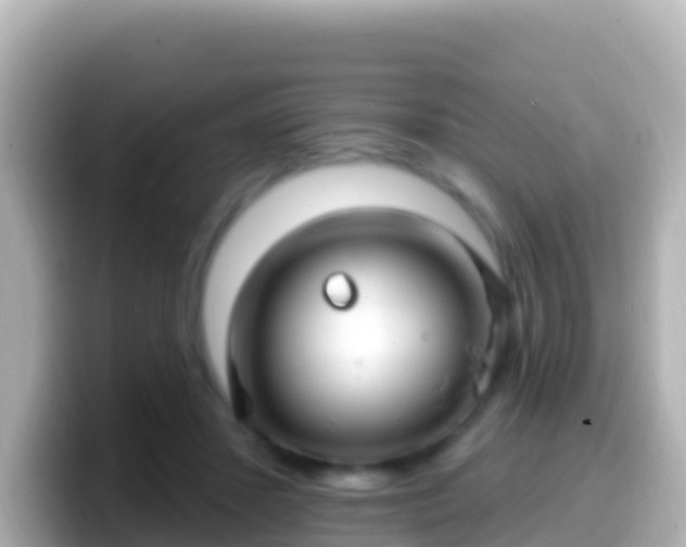 X0000099580407200805231554