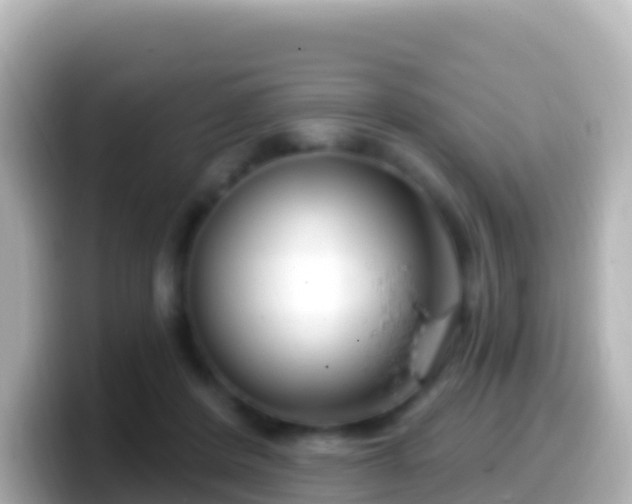 X0000099580408200805231554
