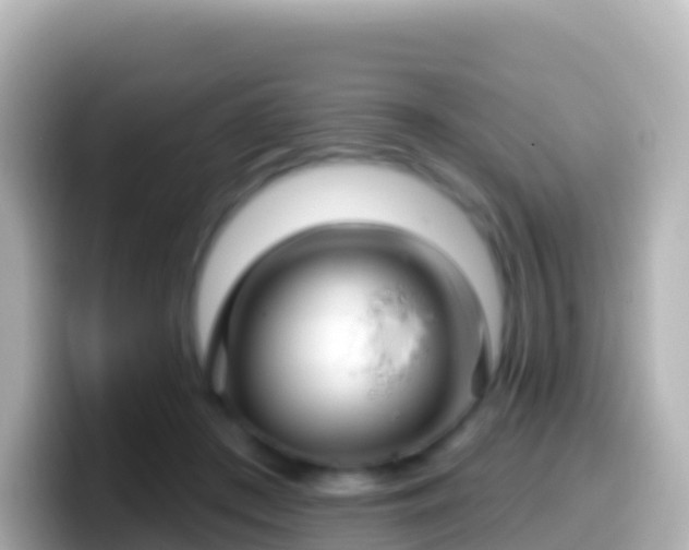 X0000099580409200805231554