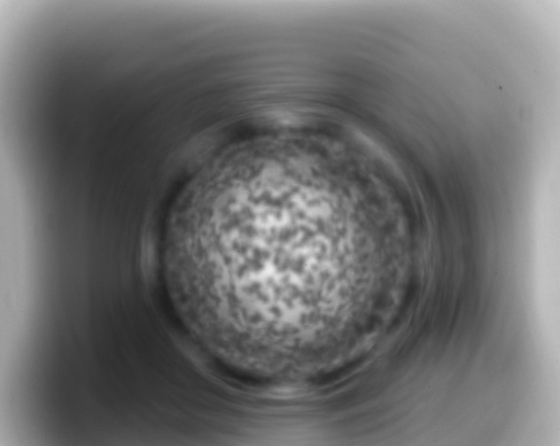X0000099580410200805231554