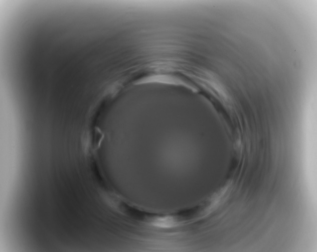 X0000099580411200805231554