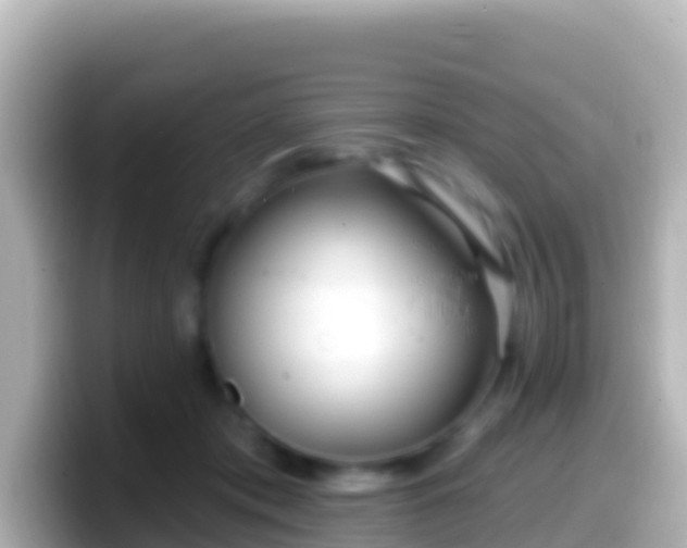 X0000099580413200805231554