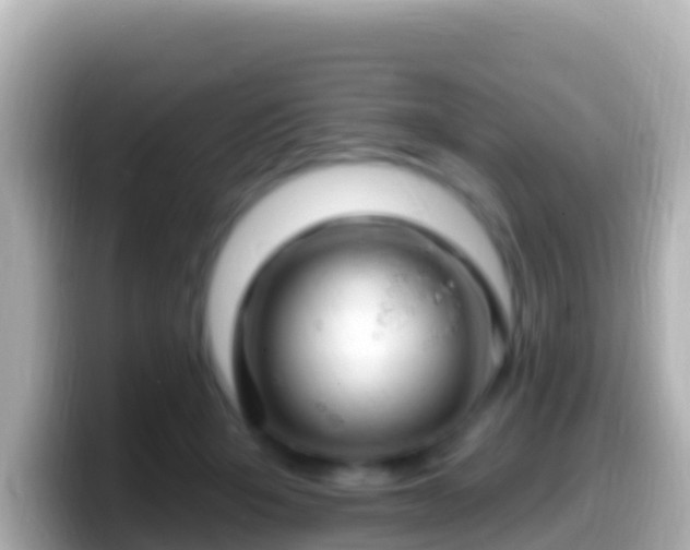 X0000099580415200805231554