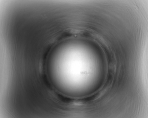 X0000099580416200805231554