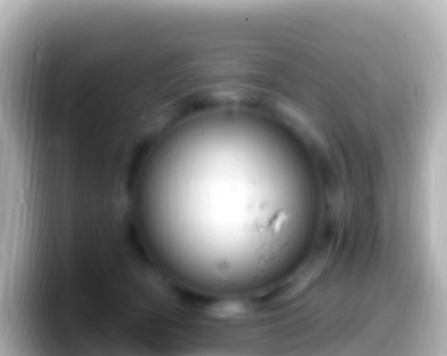 X0000099580418200805231554