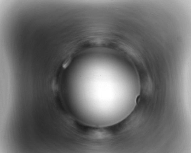 X0000099580420200805231554