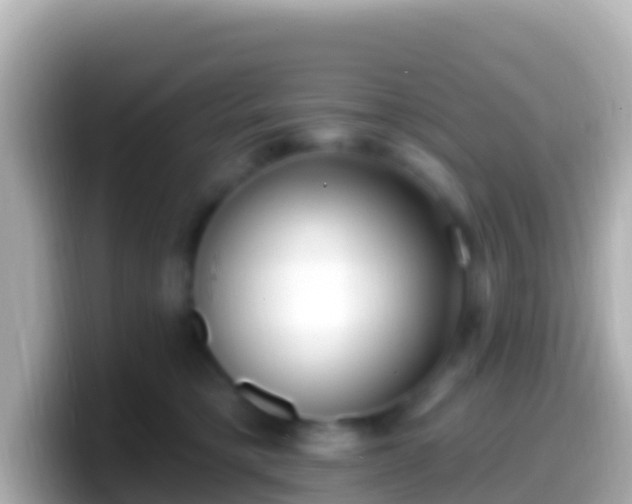 X0000099580421200805231554
