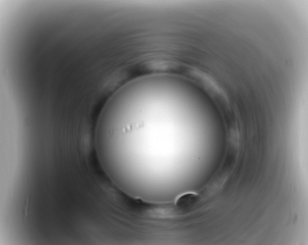 X0000099580422200805231554