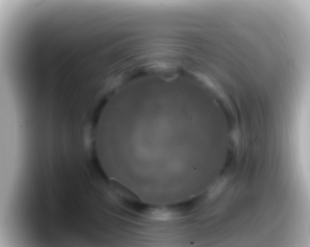 X0000099580423200805231554