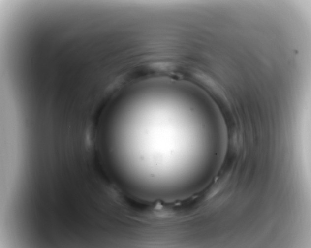 X0000099580424200805231554