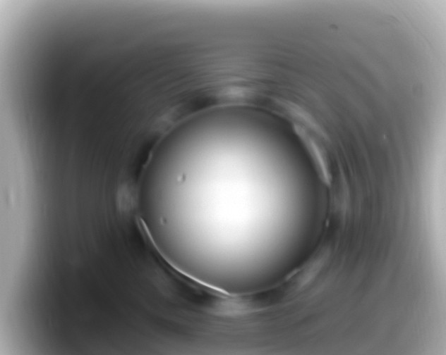 X0000099580425200805231554