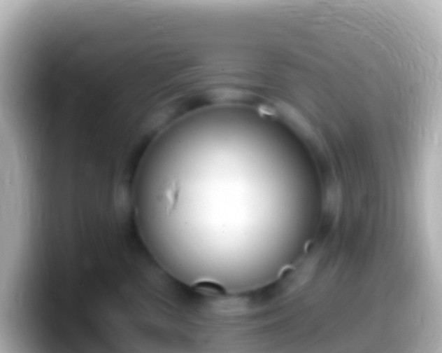 X0000099580426200805231554