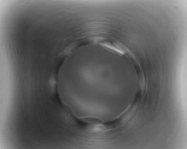 X0000099580427200805231554