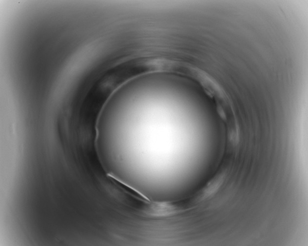 X0000099580429200805231554