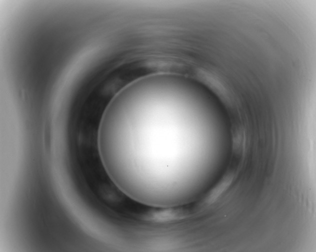 X0000099580430200805231554