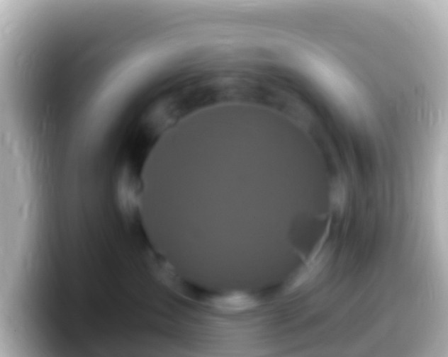 X0000099580431200805231554