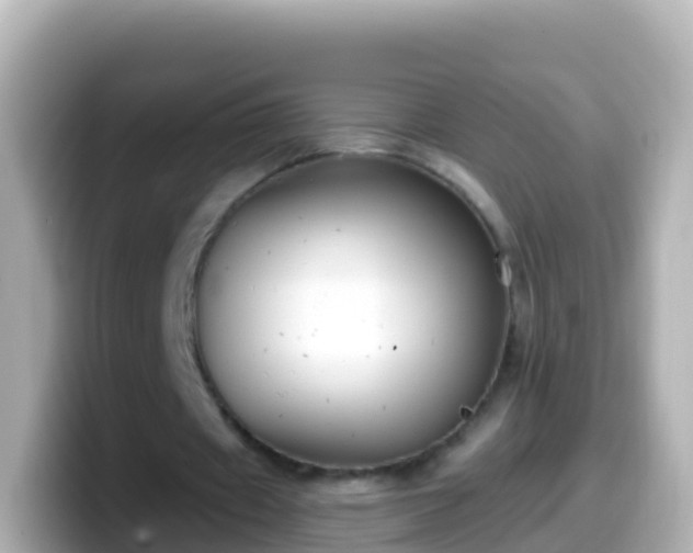 X0000099580433200805231554