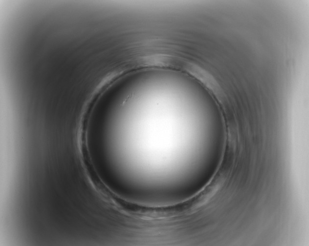 X0000099580434200805231554
