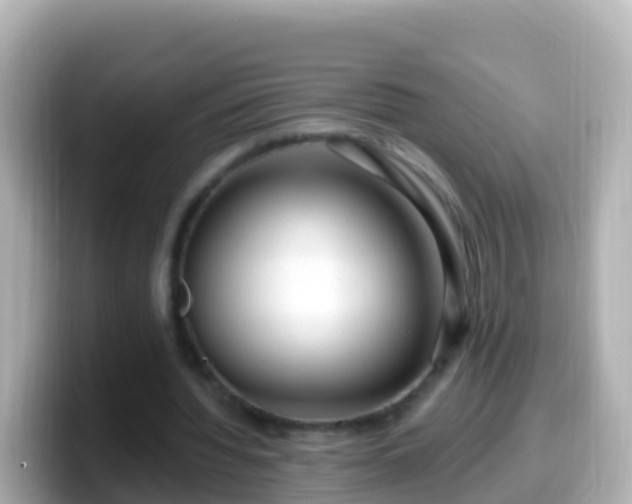 X0000099580436200805231554