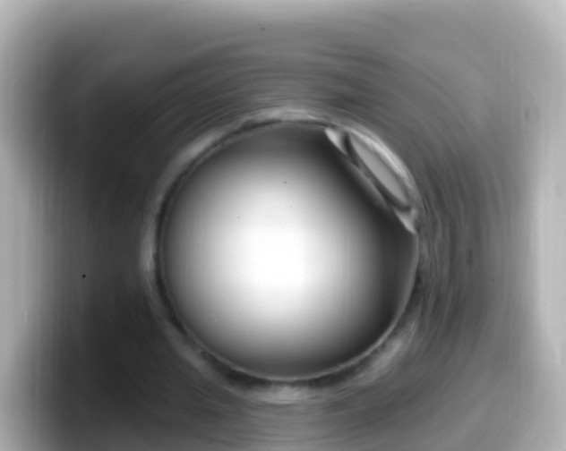 X0000099580437200805231554