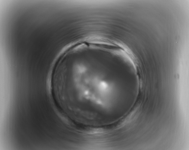 X0000099580438200805231554