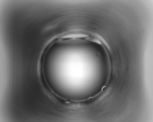 X0000099580439200805231554