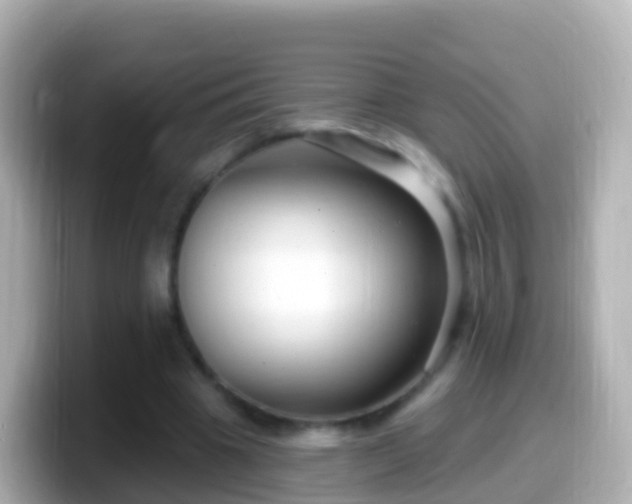 X0000099580441200805231554