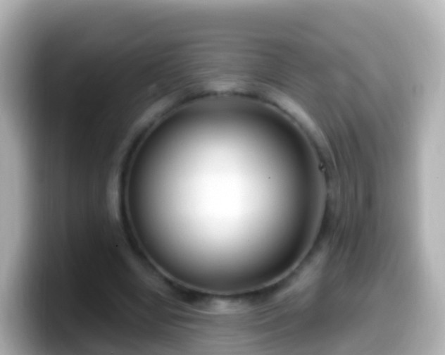 X0000099580442200805231554