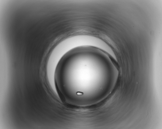 X0000099580444200805231554