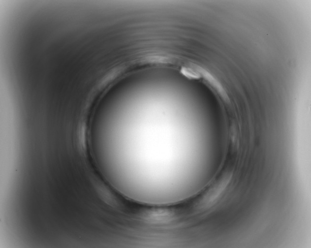 X0000099580445200805231554