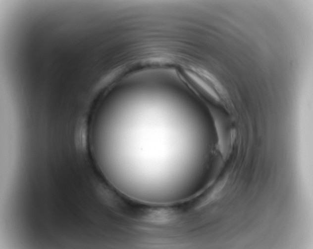 X0000099580446200805231554