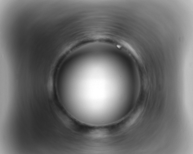 X0000099580447200805231554