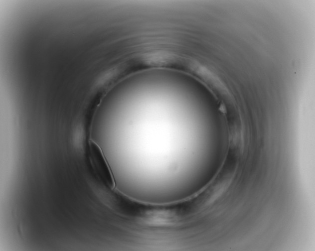 X0000099580448200805231554