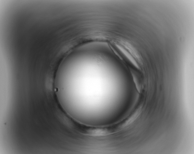 X0000099580449200805231554